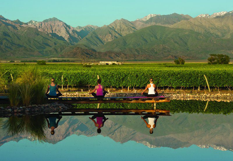 The Vines Resort & Spa Los Sauces  Екстериор снимка